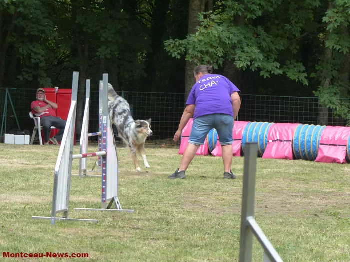 club-canin-sanvignes-030825161081