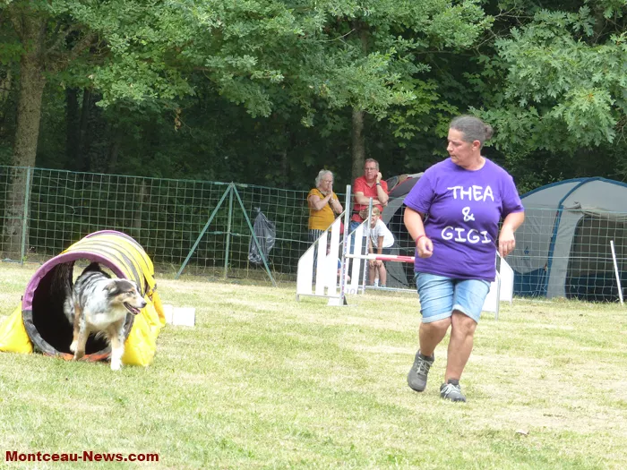 club-canin-sanvignes-030825161084
