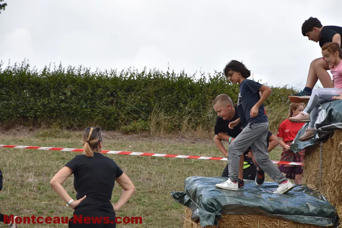 les-bizots-dingo-300825161055