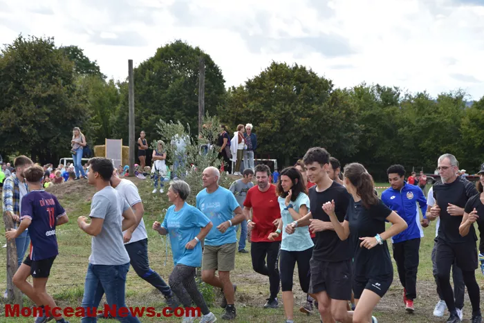 les-bizots-dingo-300825161141