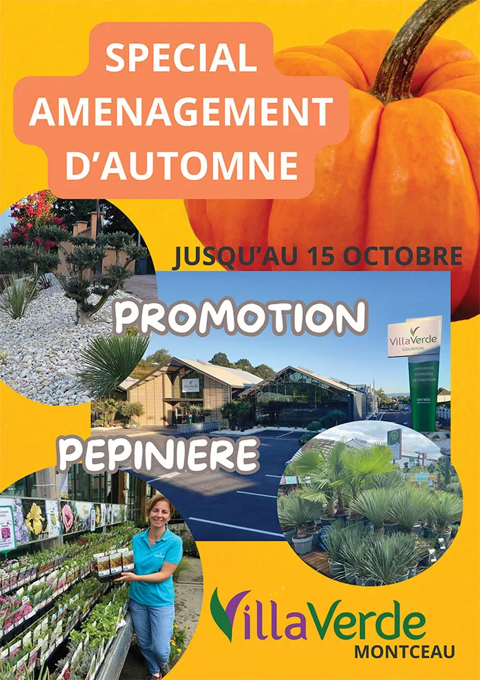 aa-pub-villaverde-140925