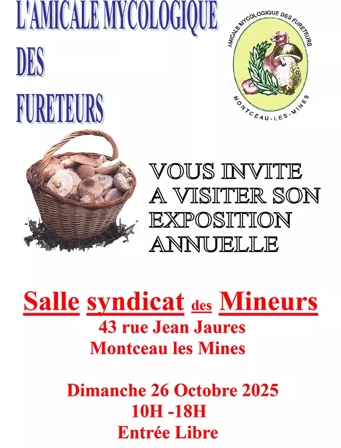 champignons-270925