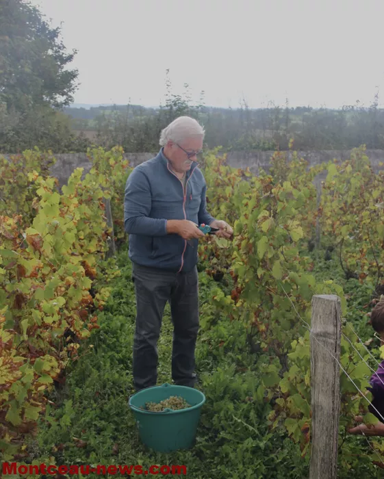 vendanges-sanvignes-140925161028