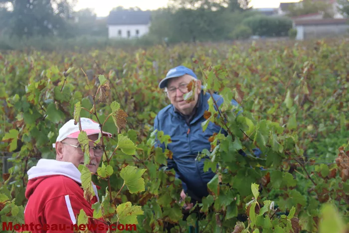 vignes-sanvignes-140925161024