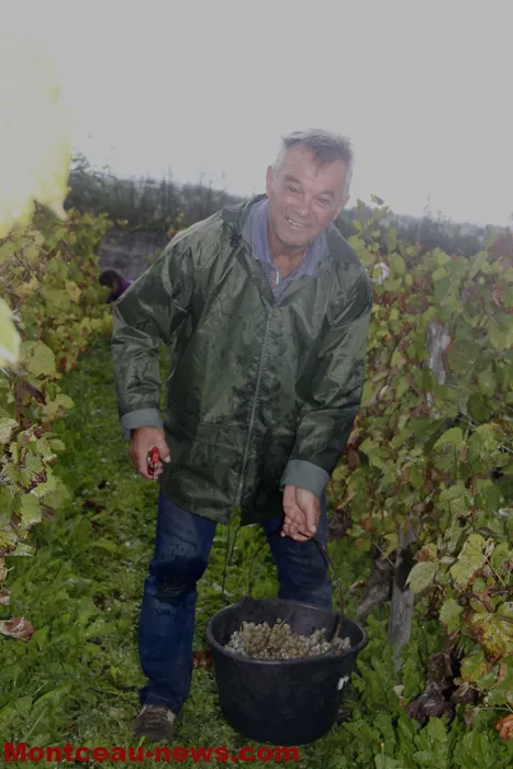 vignes-sanvignes-140925161025