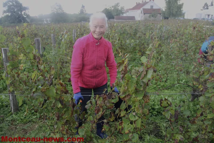 vignes-sanvignes-140925161026