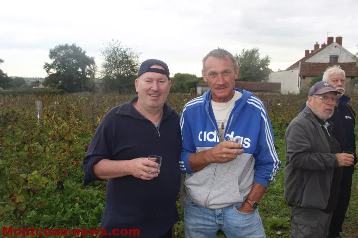 vignes-sanvignes-140925161027