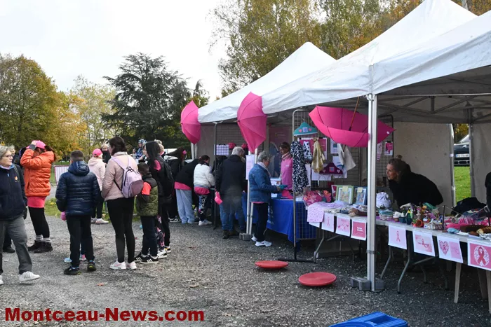 boucle-rose-montceau-2710259