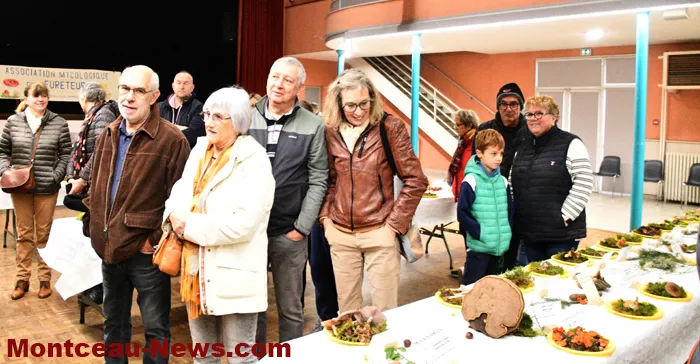 champignions-2710252