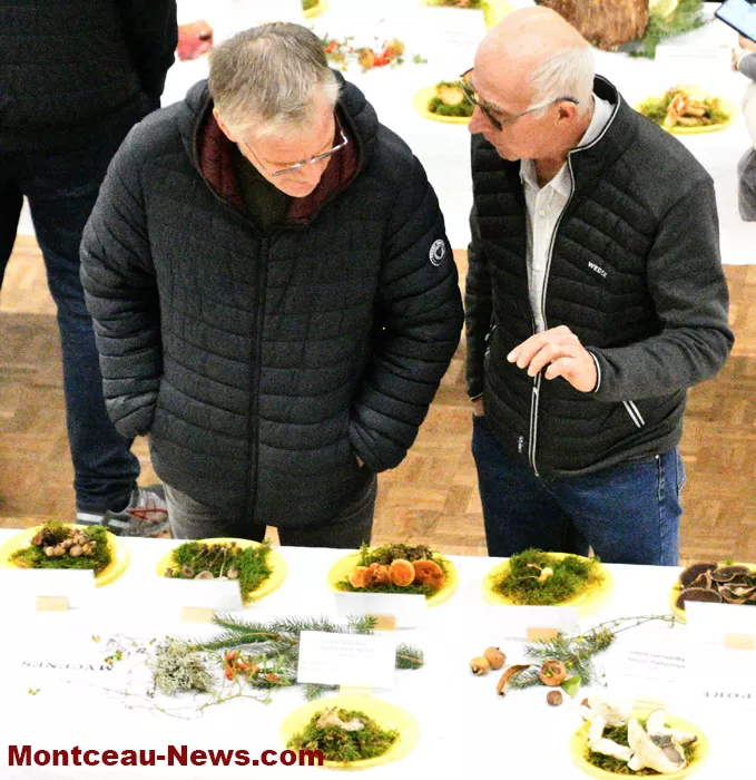 expo-champignions-2710256