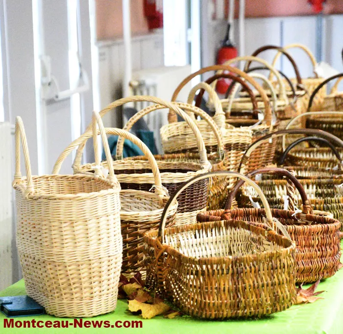 expo-champignions-2710258