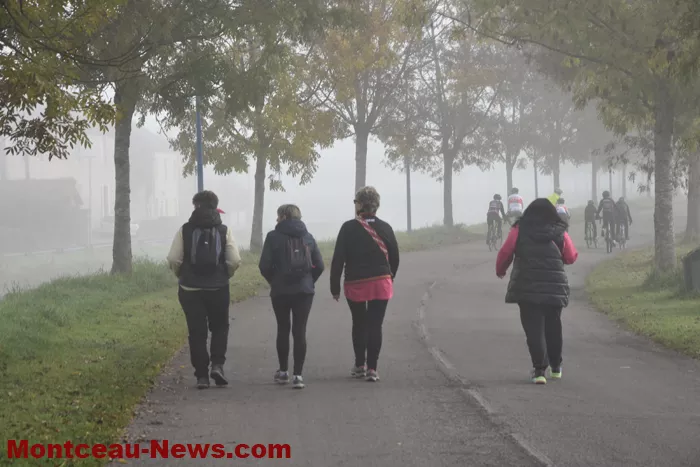 marche-rose-ecuisses-19102540