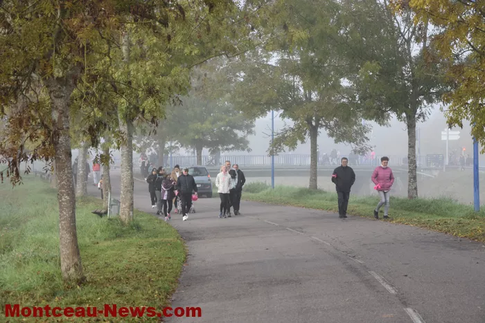 marche-rose-ecuisses-19102541