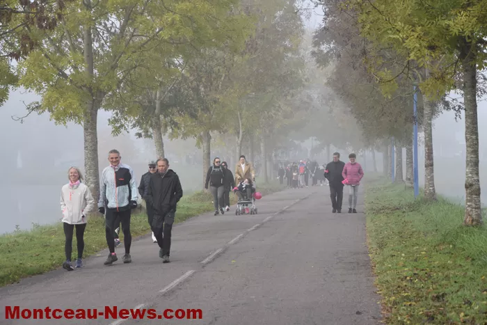 marche-rose-ecuisses-19102542