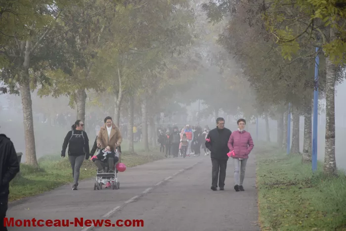 marche-rose-ecuisses-19102543