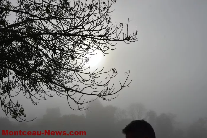 marche-rose-ecuisses-19102544