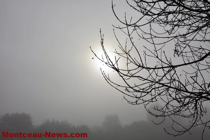 marche-rose-ecuisses-19102545