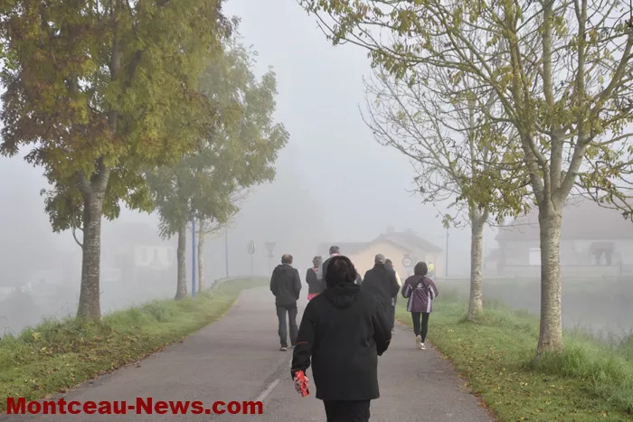 marche-rose-ecuisses-19102546