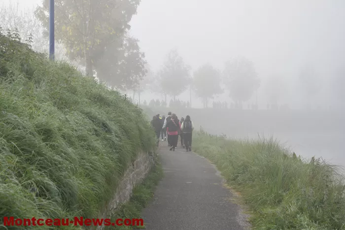 marche-rose-ecuisses-19102547