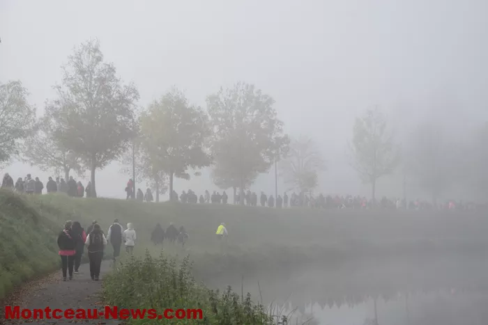 marche-rose-ecuisses-19102548