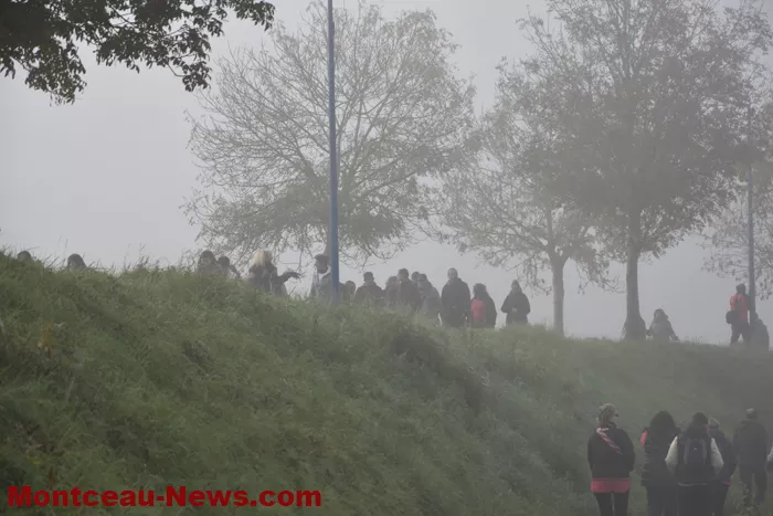 marche-rose-ecuisses-19102549