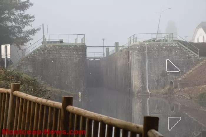 marche-rose-ecuisses-19102551