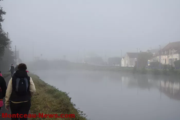 marche-rose-ecuisses-19102552