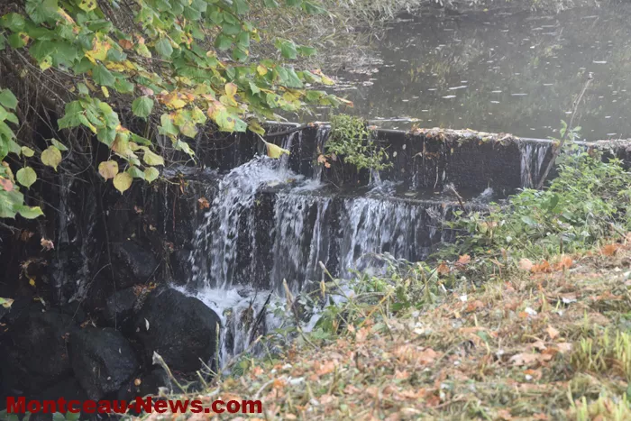 marche-rose-ecuisses-19102554