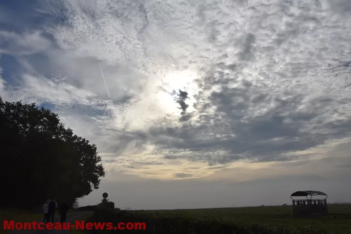 marche-rose-ecuisses-19102555