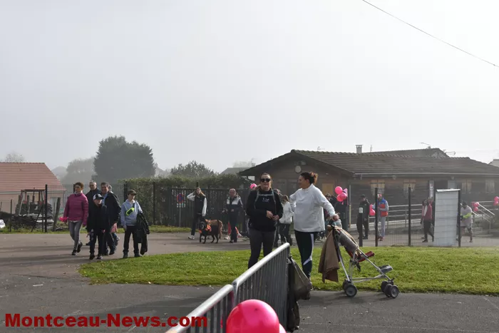 marche-rose-ecuisses-19102558