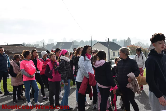 marche-rose-ecuisses-19102565