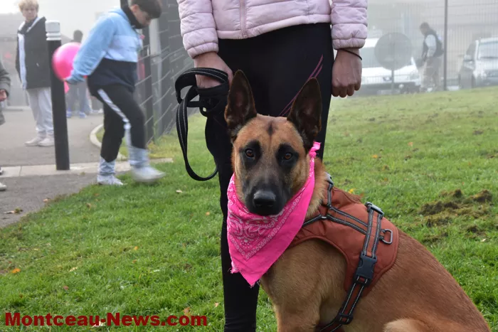 marche-rose-ecuisses-1910257