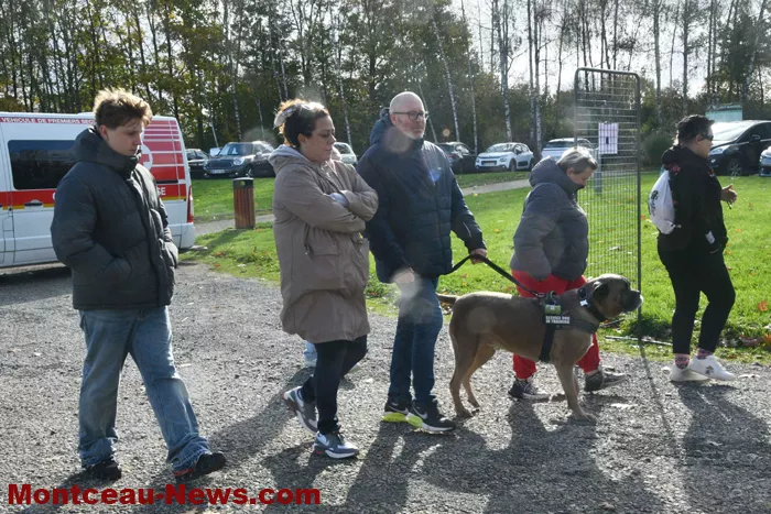 rose-montceau-2710255