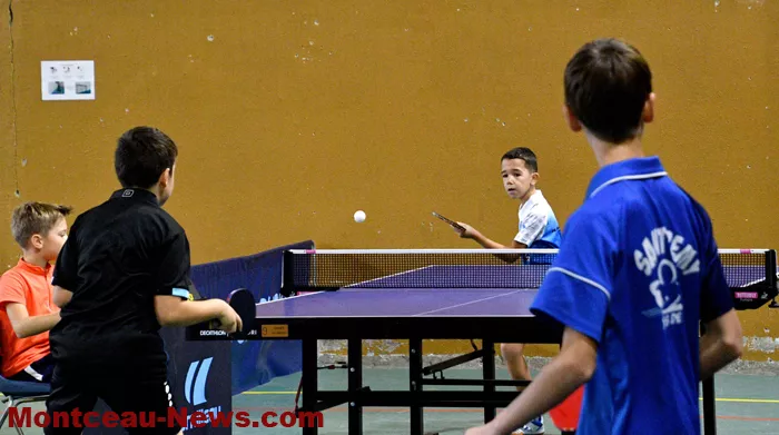 tennis-table-21102512