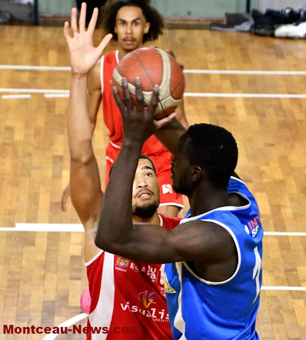 basket-montceau-24112541