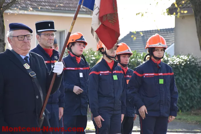 bizots-comemo-11112522