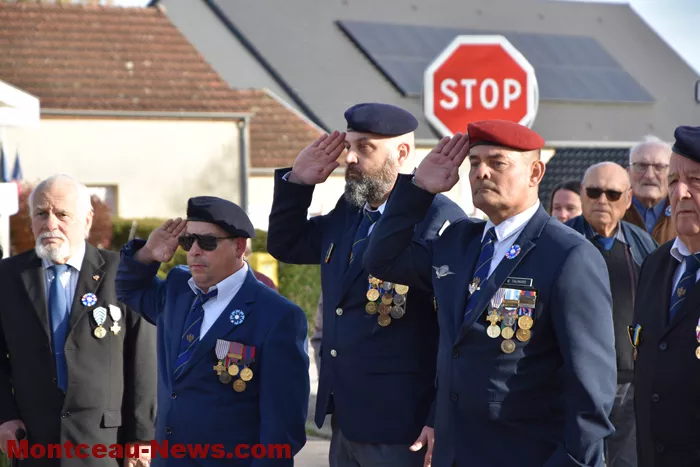 bizots-comemo-11112535