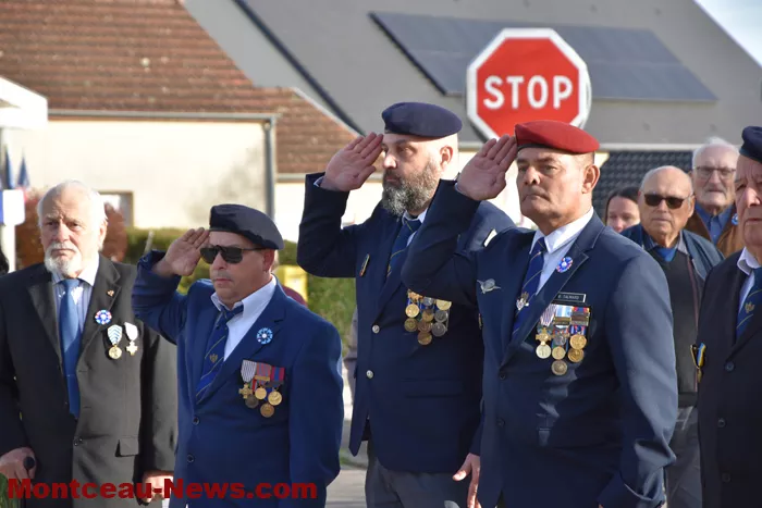 bizots-comemo-11112536