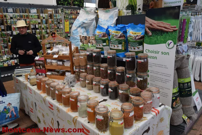 marche-veillaverde-15112525