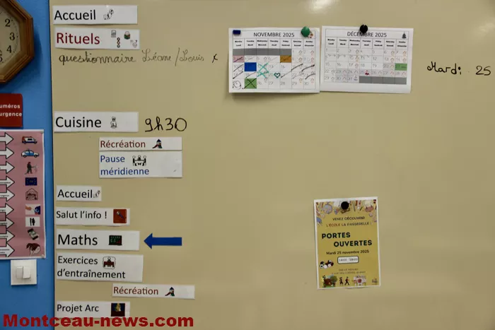 meplier-nico-2611255