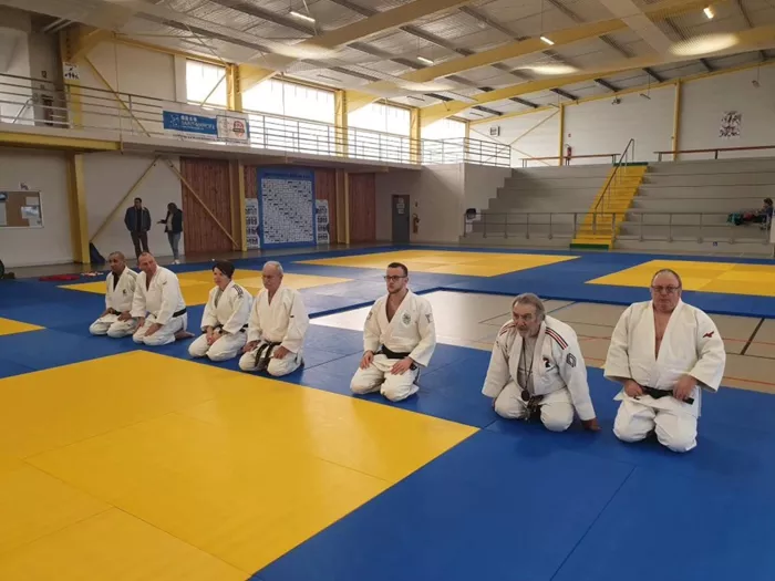 ad-judo-2212252