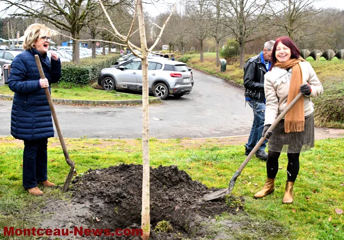 arbre-de-vie-montceau-16122510