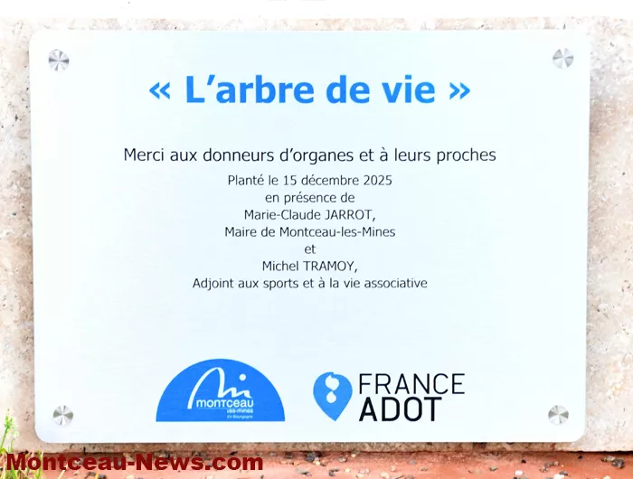 arbre-de-vie-montceau-1612252