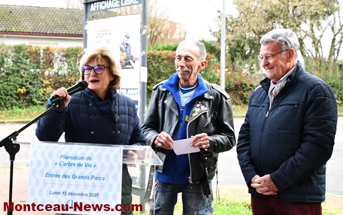 arbre-de-vie-montceau-1612255