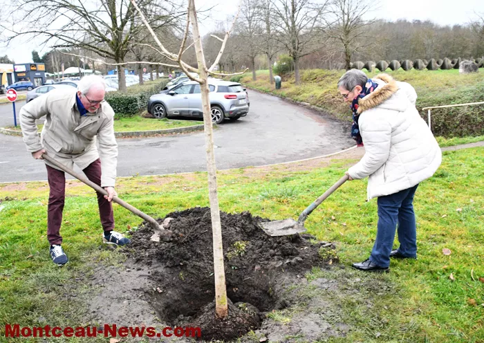 arbre-de-vie-montceau-1612258