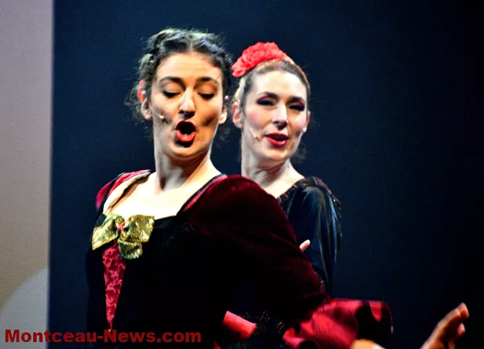 chat-beaute-montceau-18122510