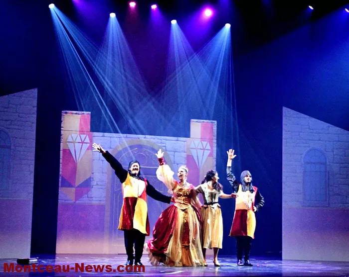 chat-beaute-montceau-18122513