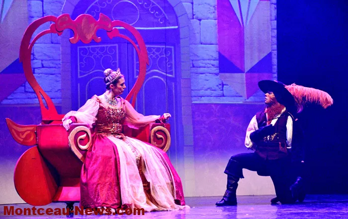 chat-beaute-montceau-18122515