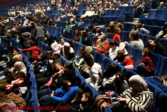 chat-beaute-montceau-1812253