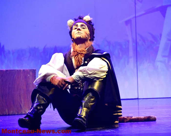 chat-beaute-montceau-1812257